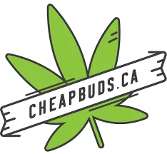 Cheap Bud Canada