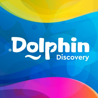 Dolphin Discovery