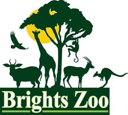 Brights Zoo