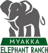 Myakka Elephant Ranch