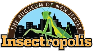 insectropolis.com