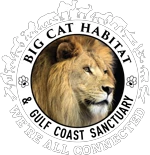 Big Cat Habitat