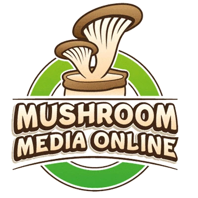 Mushroom Media Online