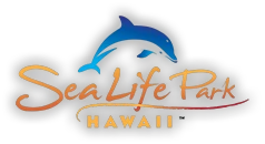 Sea Life Park Hawaii