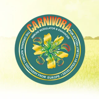 Carnivora