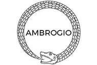 Ambrogio Shoes