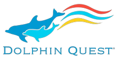 Dolphin Quest