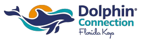 Dolphin Connection