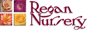 Regan Nursery