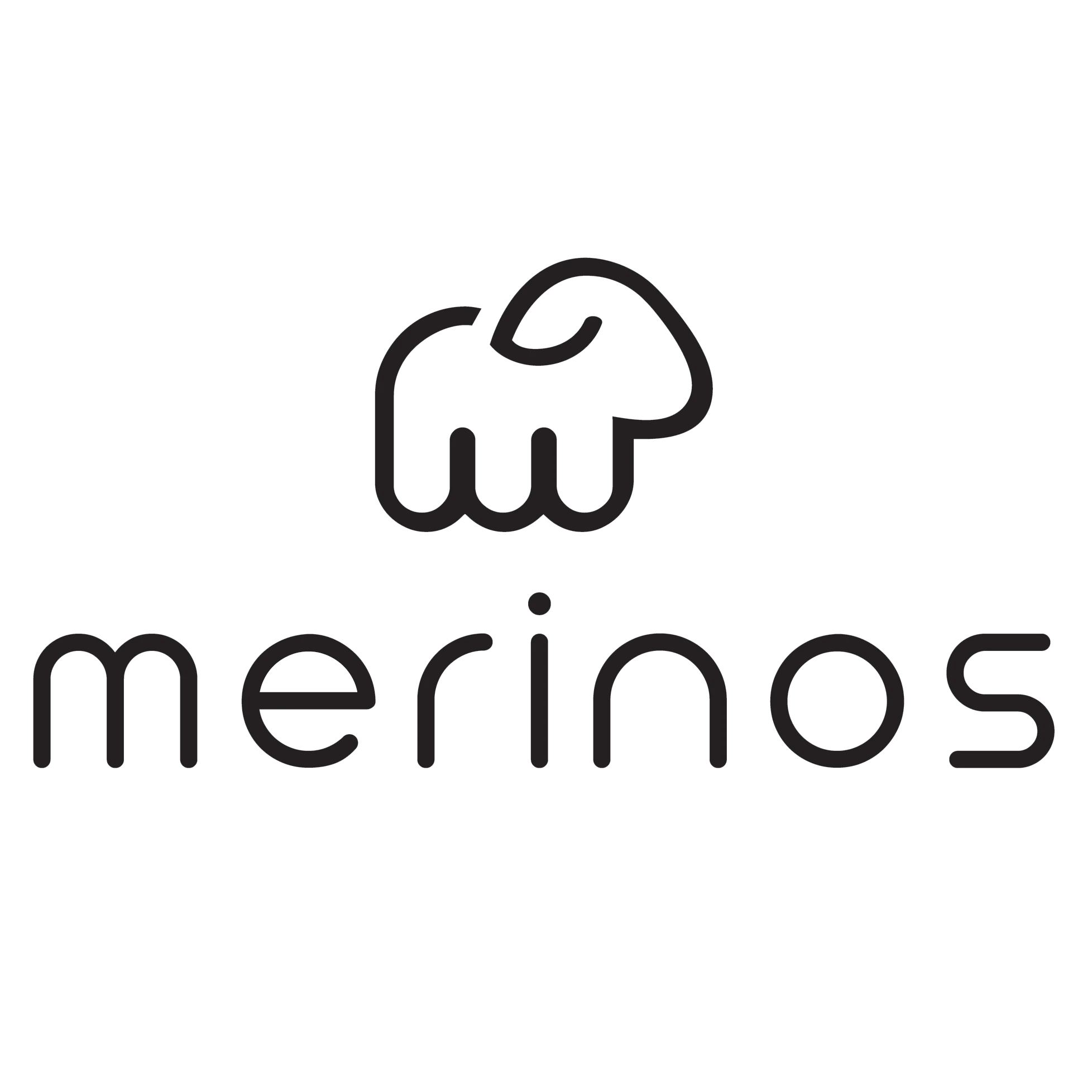 Merinos Merino Shoes