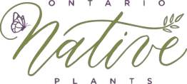 Ontario Native Plants