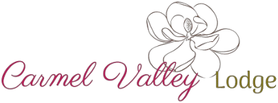 valleylodge.com