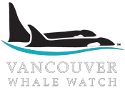vancouverwhalewatch.com