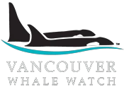 Vancouver Whale Watch