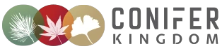 Conifer Kingdom
