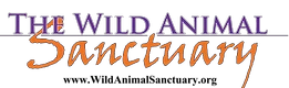 The Wild Animal Sanctuary