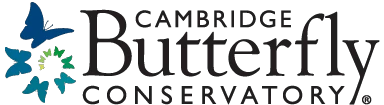 cambridgebutterfly.com