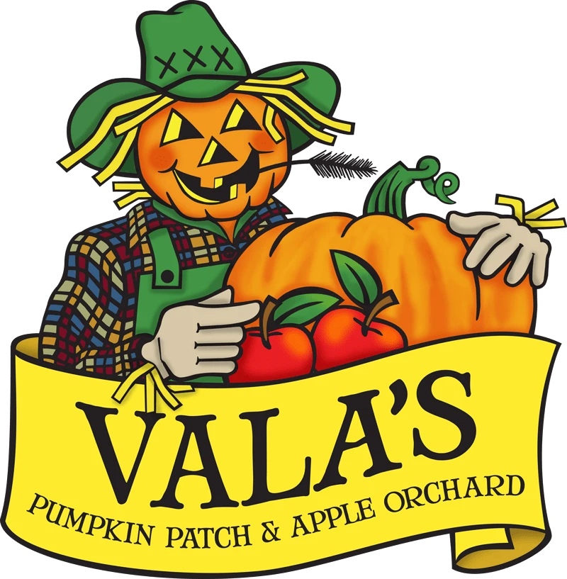 Vala's Pumpkin Patch