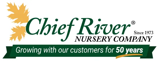 chiefrivernursery.com