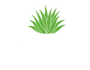 Casa Orozco