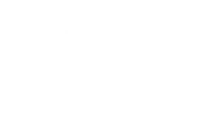 Fisher Space Pen