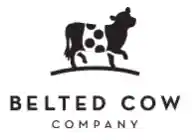 Belted Cow