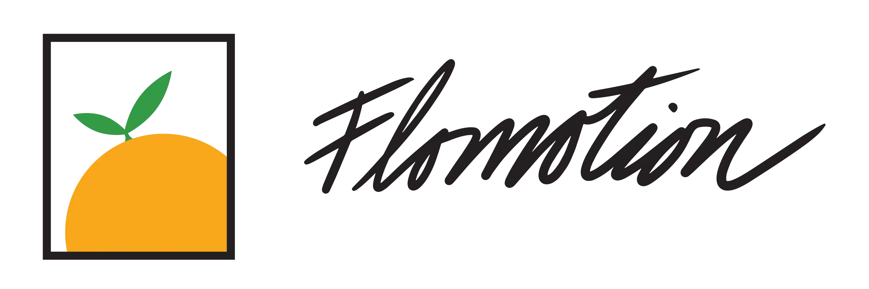 flomotion.com