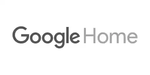 Google Home