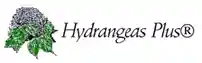 Hydrangea Plus
