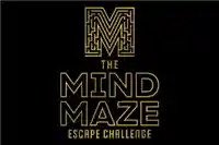 Mind Maze Escape Room