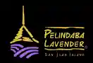 Pelindaba Lavender