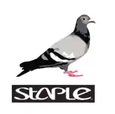 Staple Pigeon