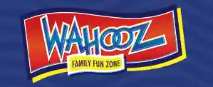 wahoozfunzone.com