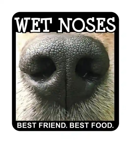 Wet Noses