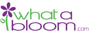 whatabloom.com