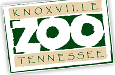 zooknoxville.org